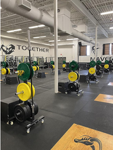 CFF-BPR6 Mobile Bar & Olympic Bumper Plate Rack