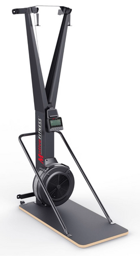 ST910 Ski Trainer Free Standing